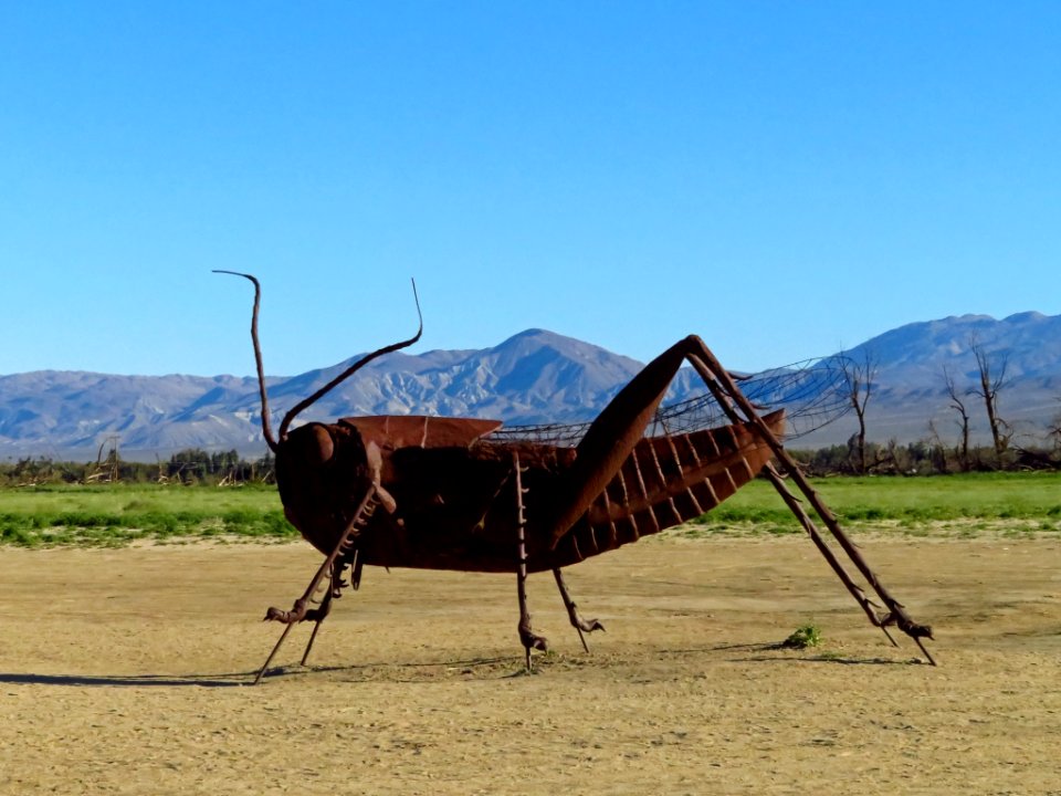 Metal Art Sculpture at Anza-Borrego Desert SP in CA