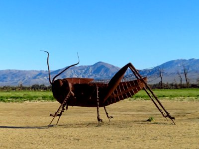 Metal Art Sculpture at Anza-Borrego Desert SP in CA
