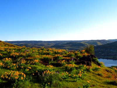 Rowena Crest in OR photo