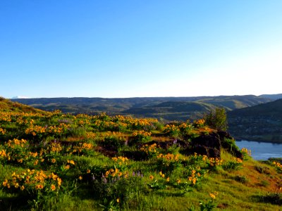 Rowena Crest in OR