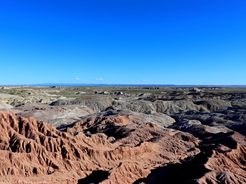 Petrified Forest NP in AZ