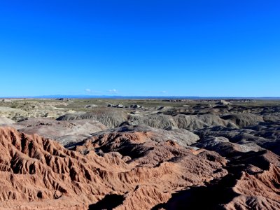 Petrified Forest NP in AZ