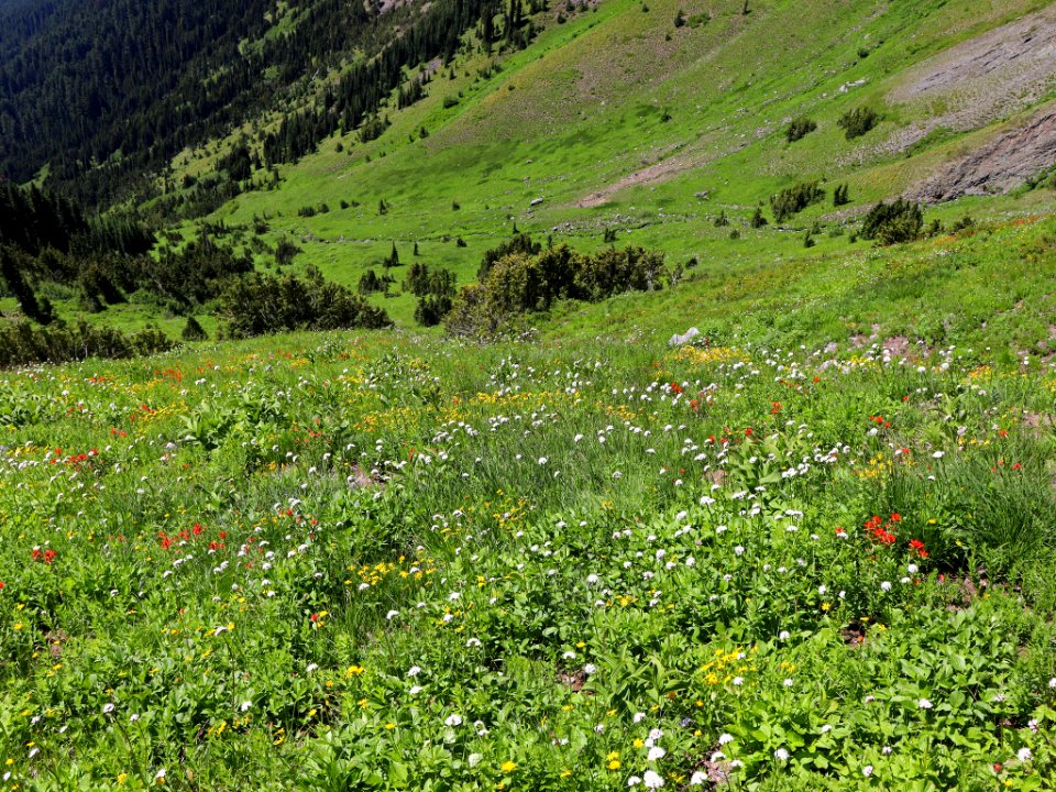 Goat Rocks Wilderness in WA