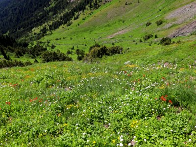 Goat Rocks Wilderness in WA