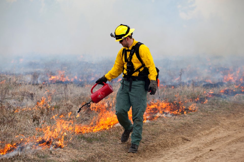 Wildfires in National Parks