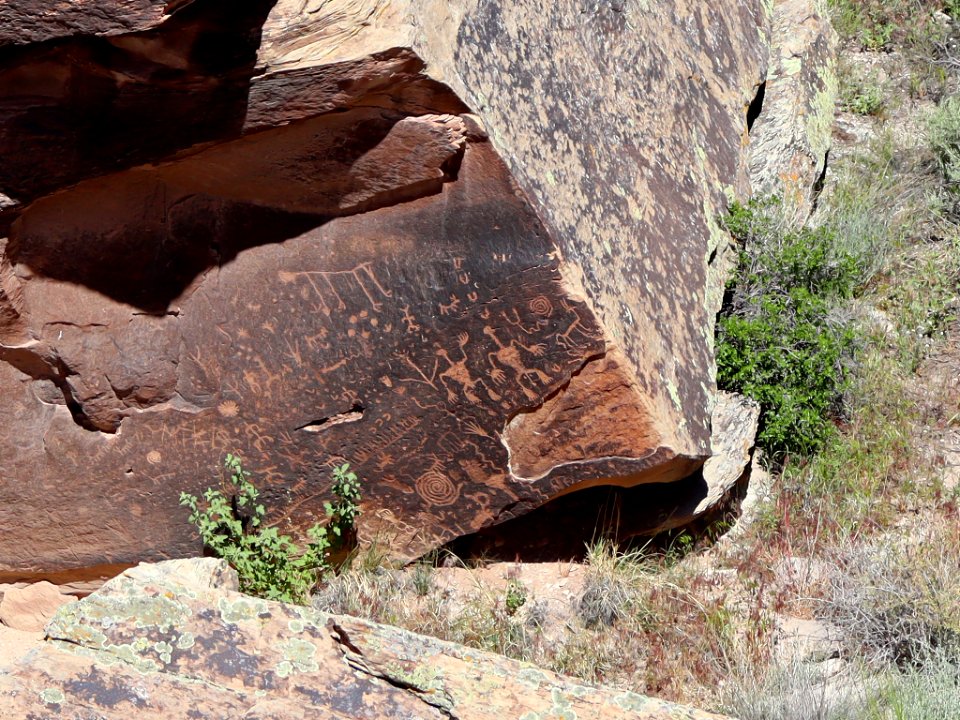 Newspaper Rock at Petrified Forest NP in AZ