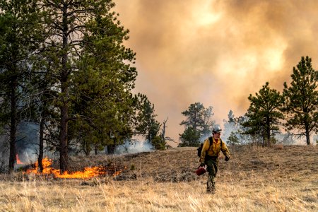 kendall-coulee-south-rx-fire 49801829858 o photo