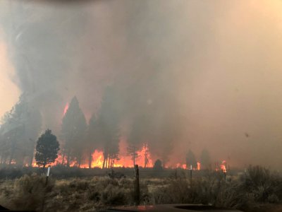 Ponina Fire