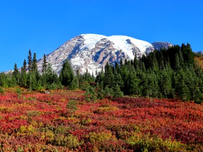 Autumn at Mt. Rainier NP in WA photo