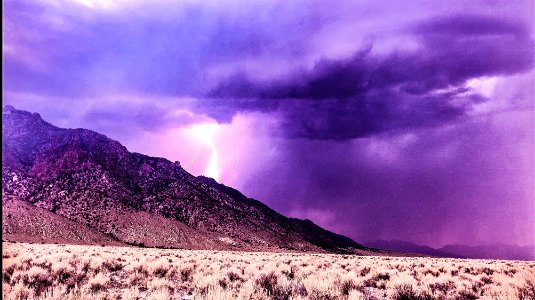 2020 Photo Contest: Land We Protect