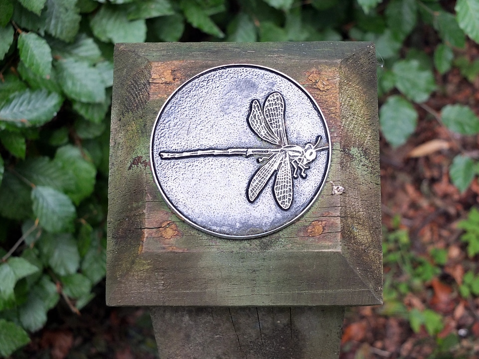 Path direction metal
