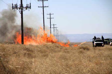 Fuels Project