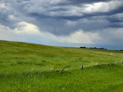 2020 Photo Contest: Land We Protect