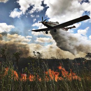 Water Drop on Prescribed Fire