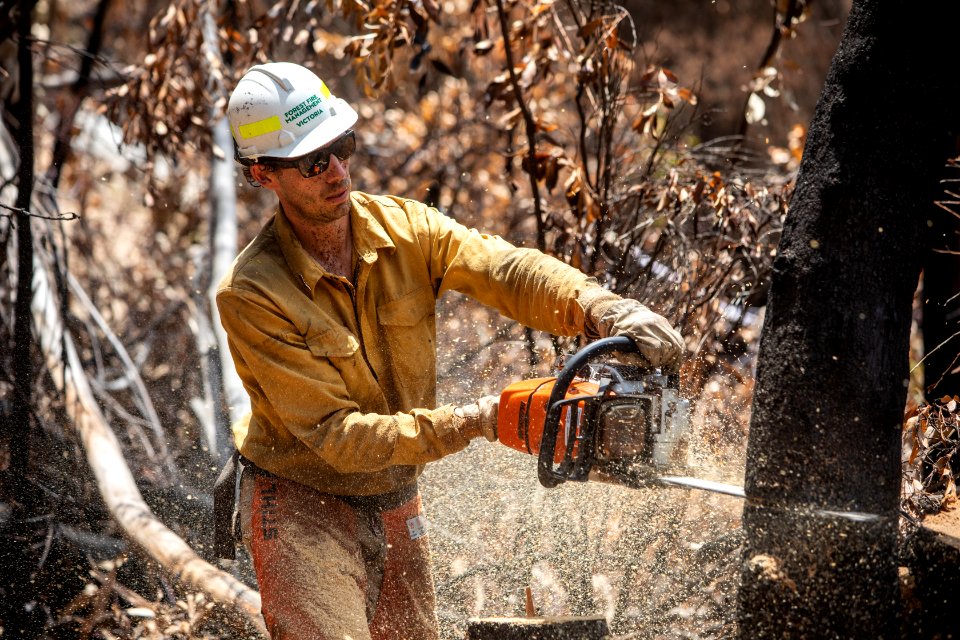 US Task Force faller cutting hazard trees