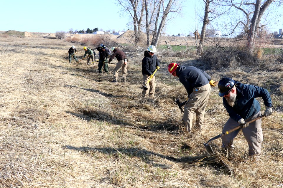 Leavitt Prescribed Fire