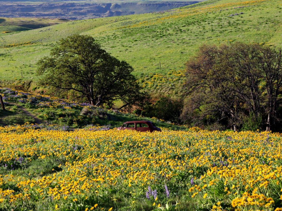 Dalles Mountain Ranch in WA