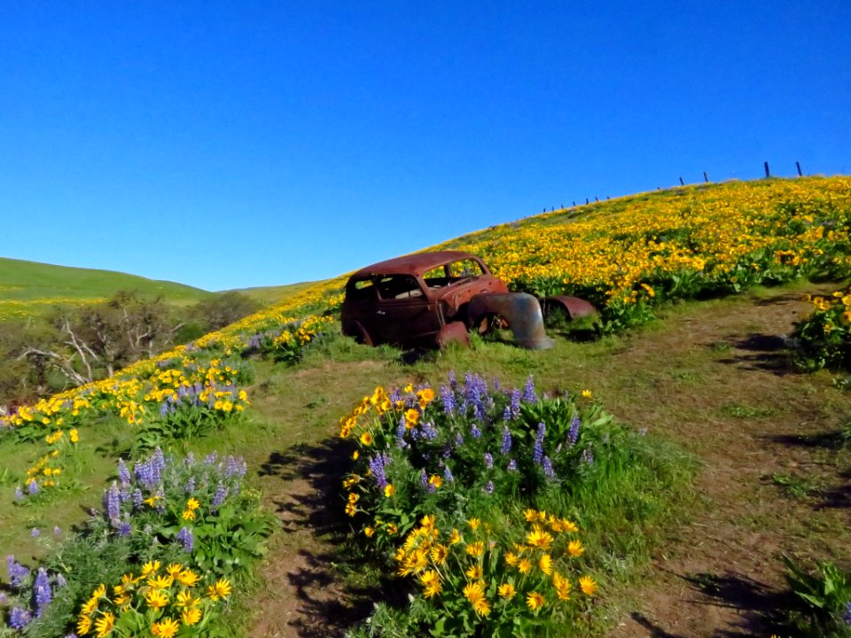 Dalles Mountain Ranch in WA