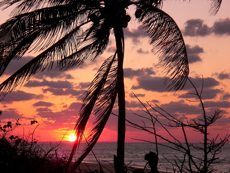 Honeymoon sunset sea