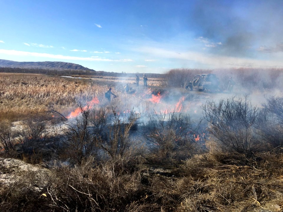Wyoming Prescribed Burn