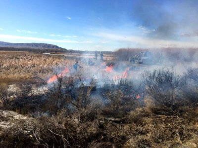 Wyoming Prescribed Burn