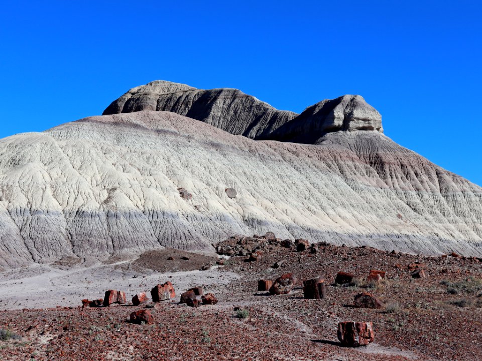Petrified Forest NP in AZ