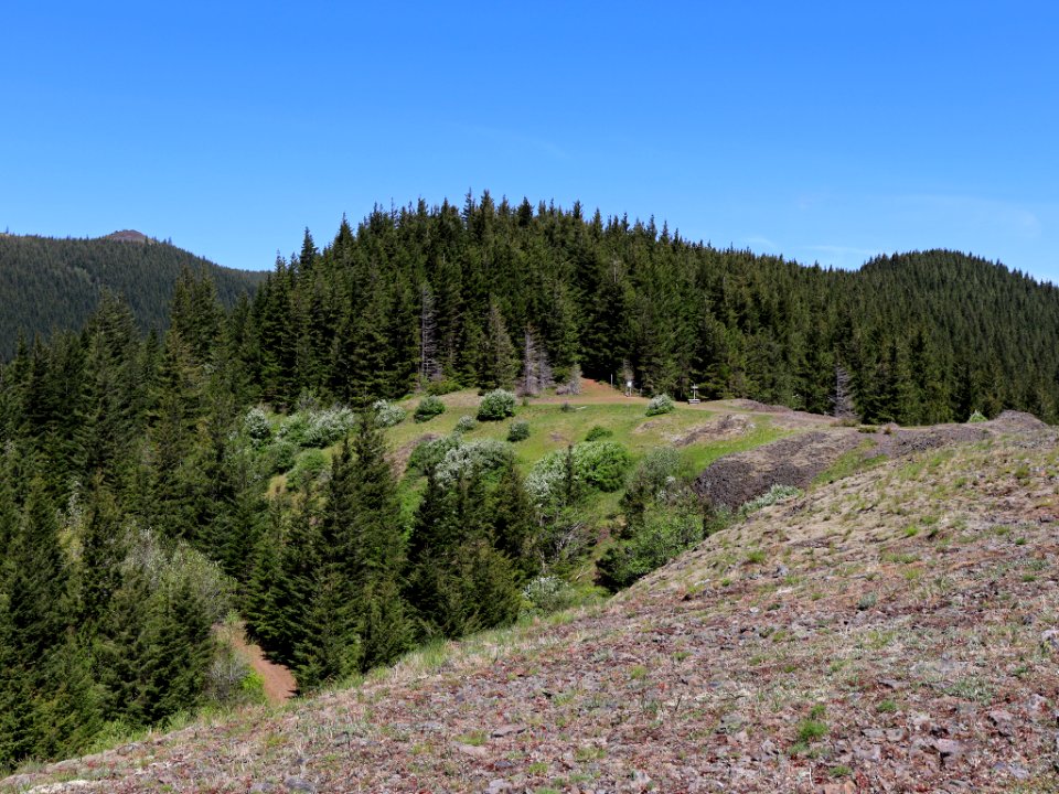 Hamilton Mountain in WA