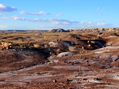 Petrified Forest NP in AZ
