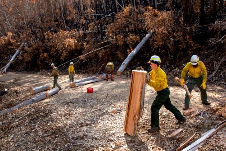 US Task Force members clearing felled trees from a road