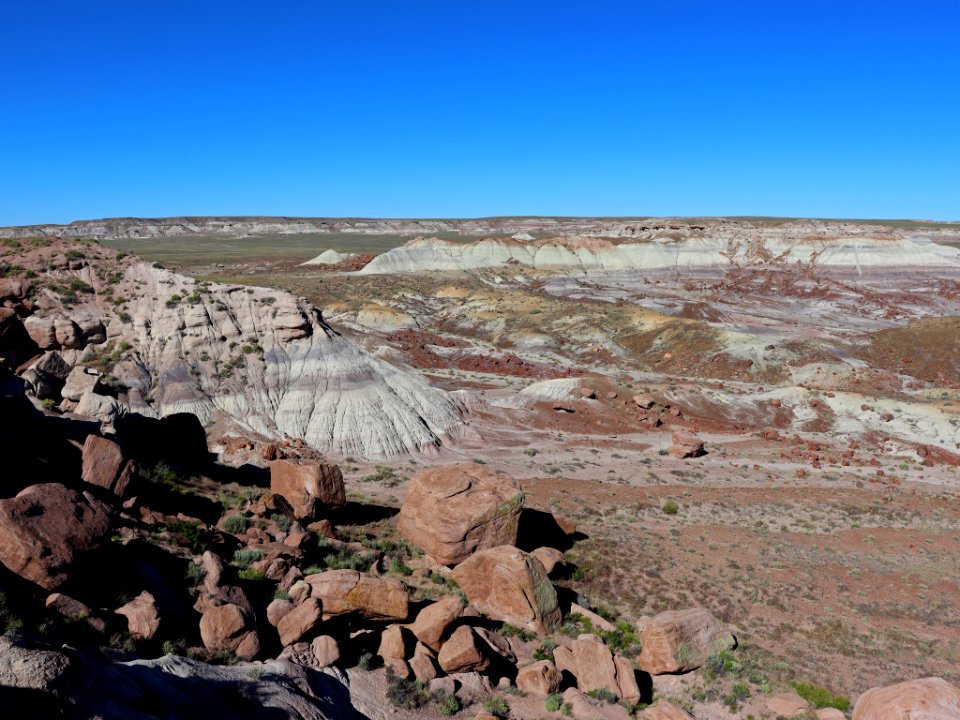 Petrified Forest NP in AZ
