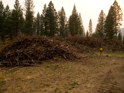 Excess Fuels are Piled on the Mustang Complex photo