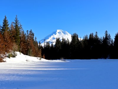 Mirror Lake and Mt. Hood in OR photo