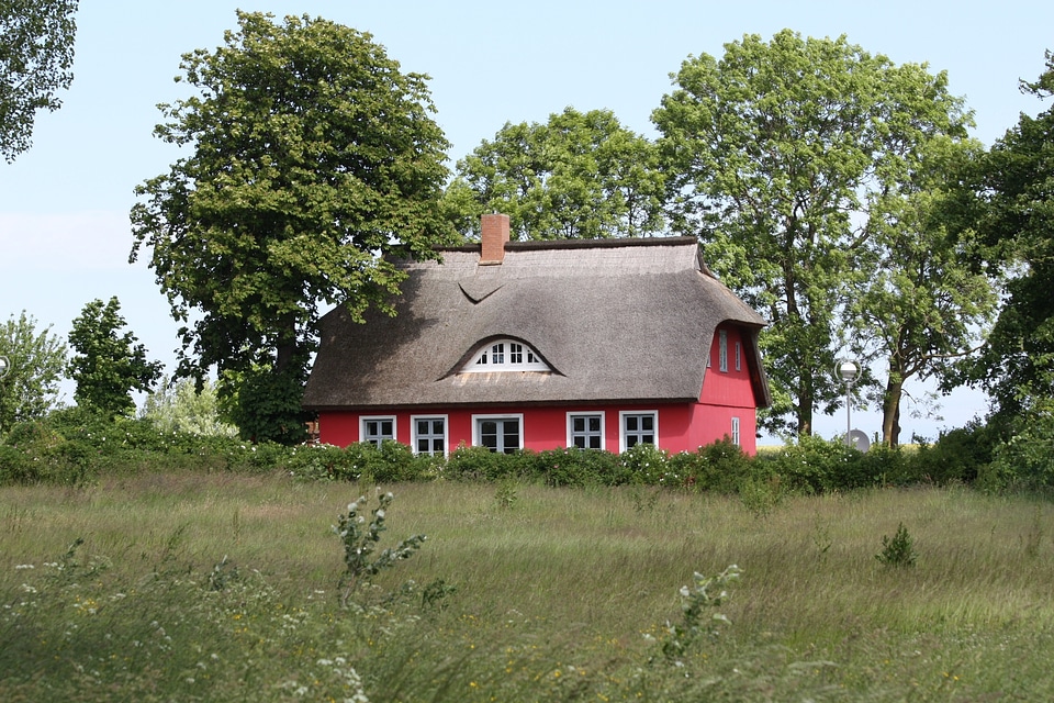 Thatched roof thatched house