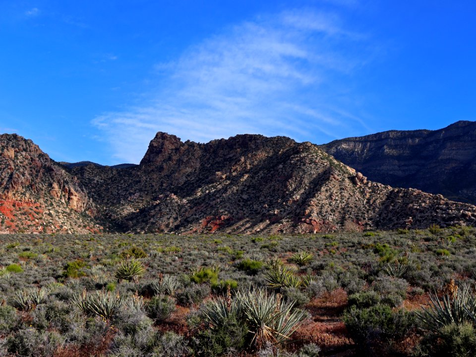 Red Rock Canyon in NV