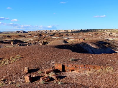 Petrified Forest NP in AZ