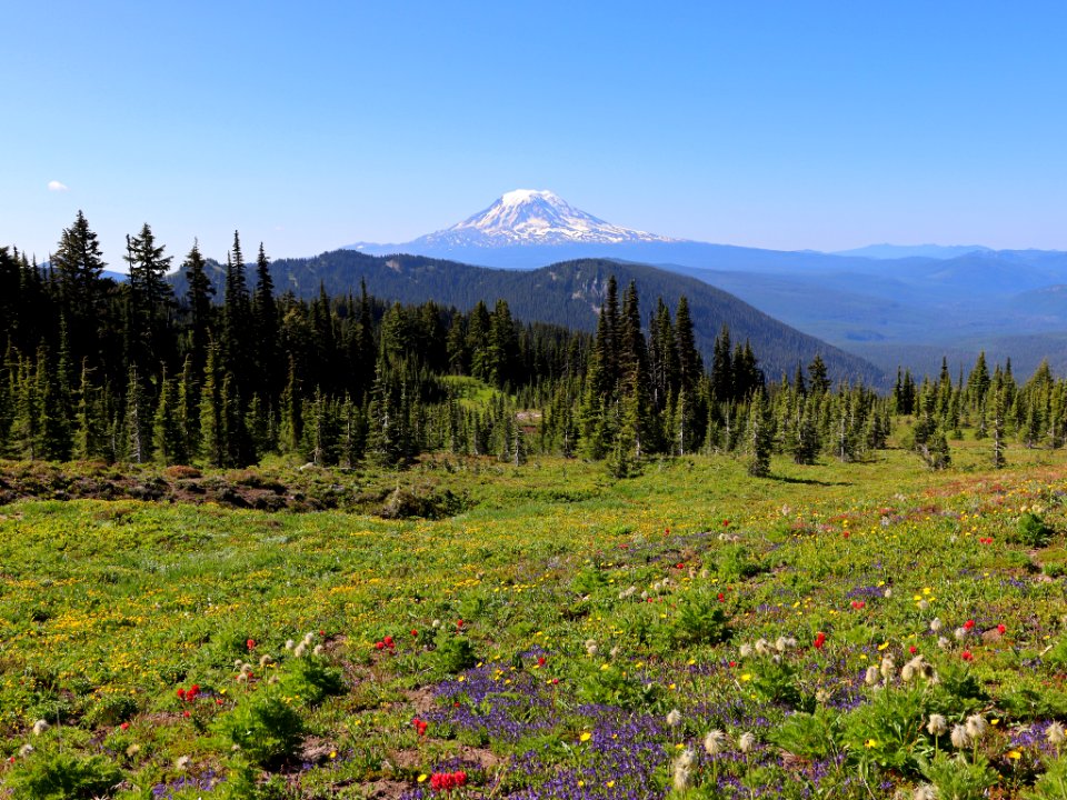 Goat Rocks Wilderness in WA
