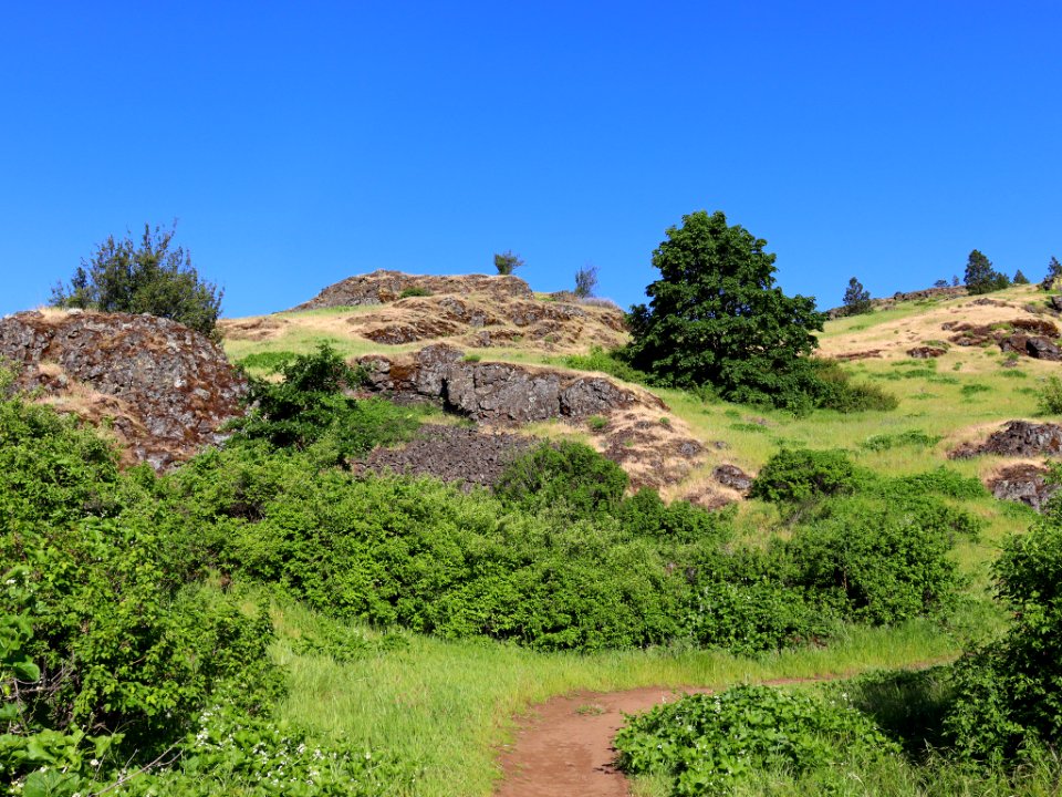 Coyote Wall Trail in WA