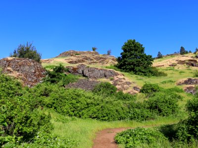 Coyote Wall Trail in WA