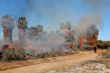 2020 BLM Photo Contest: Crews