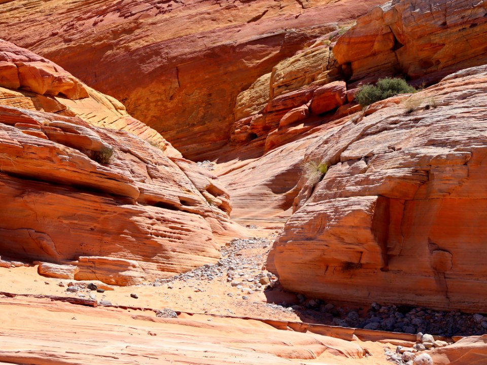 Pink Canyon at Valley Of Fire SP in NV