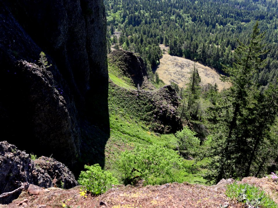 Hamilton Mountain in WA photo