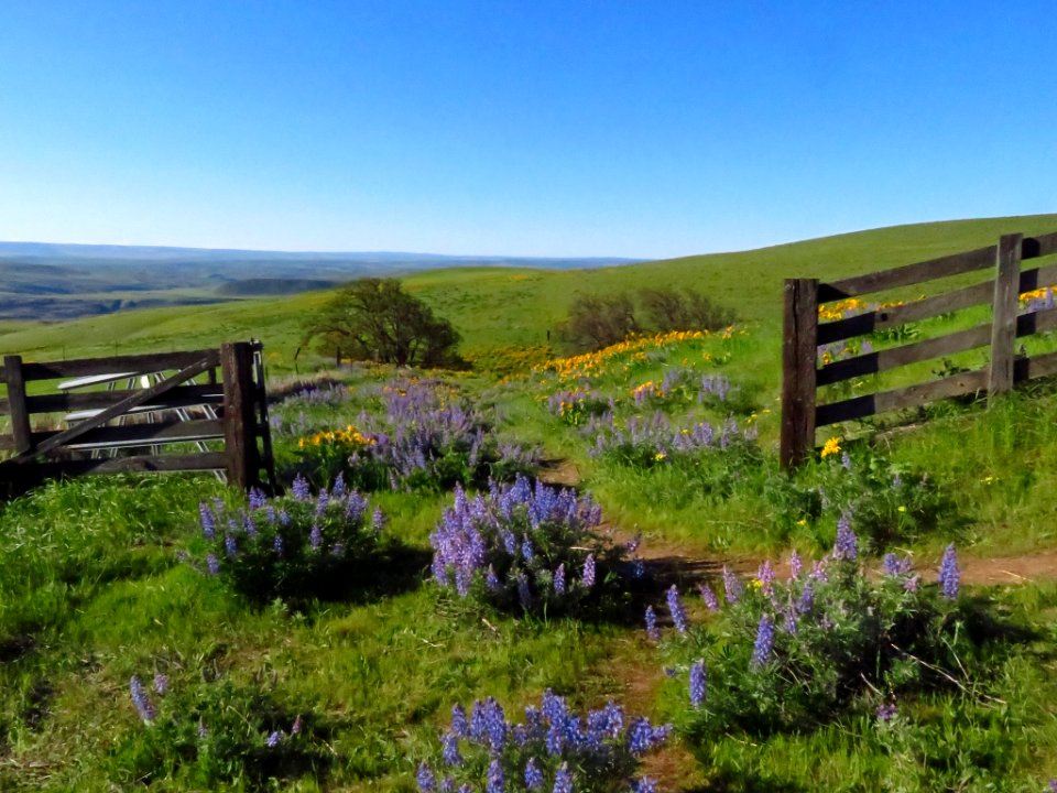 Dalles Mountain Ranch in WA