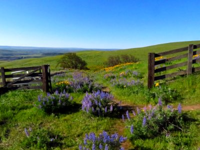 Dalles Mountain Ranch in WA