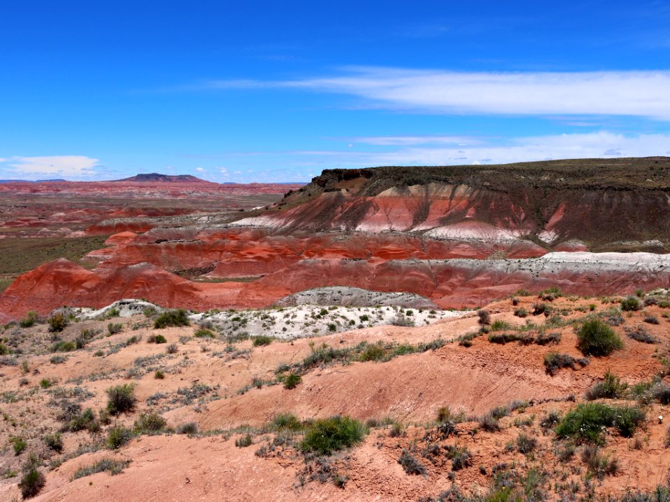 Petrified Forest NP in AZ