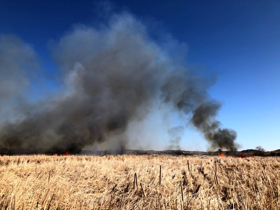 Market Lake Prescribed Fire