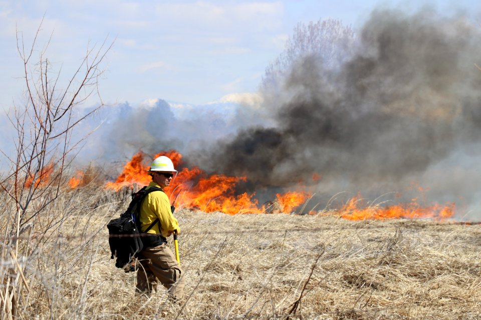 Leavitt Prescribed Fire