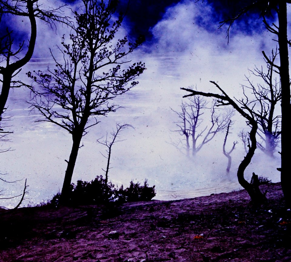 Geyser in Yellowstone (4)