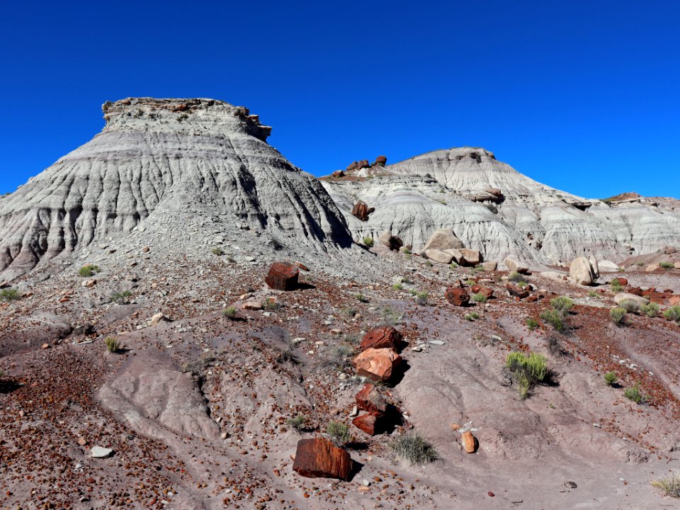 Petrified Forest NP in AZ