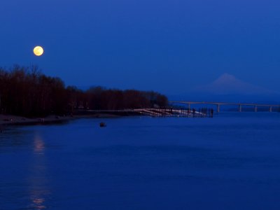 Full Pink Supermoon in Vancouver, WA photo