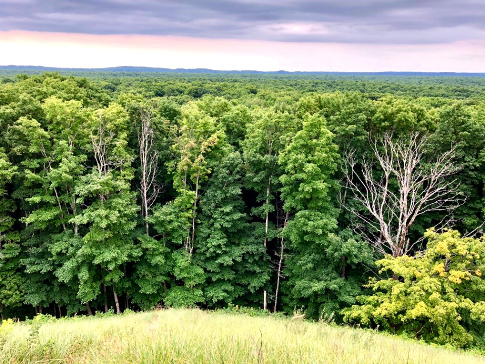 Forest of Pictured Rocks NL